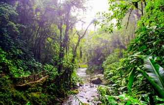 Naturparadies Costa Rica