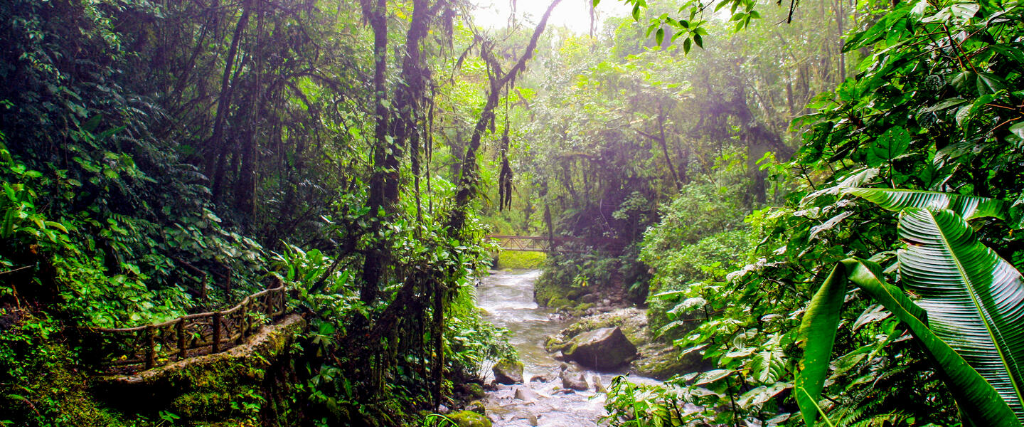 Pura Vida - Naturparadies Costa Rica