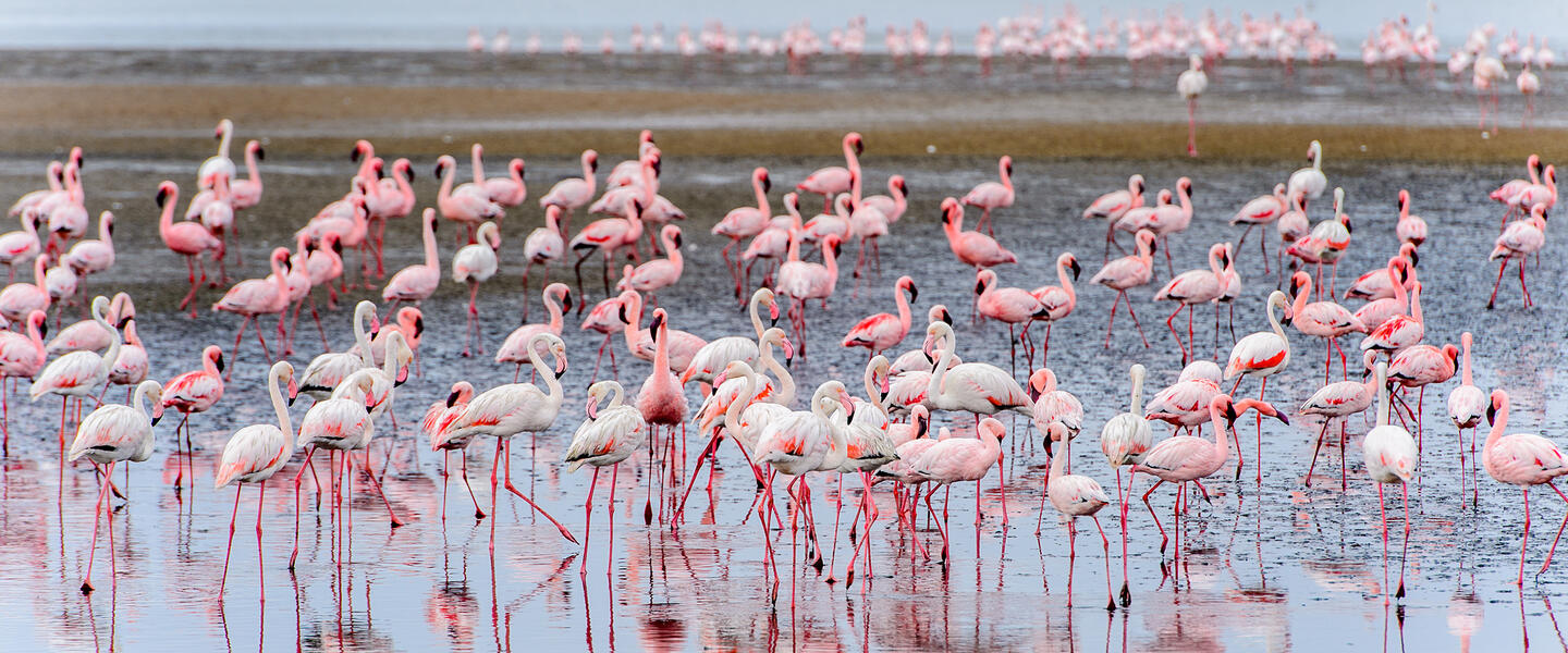 Namibia - Wildnis und Weite