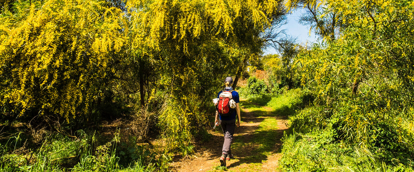 Algarve - wandern an der facettenreichen Südküste Portugals