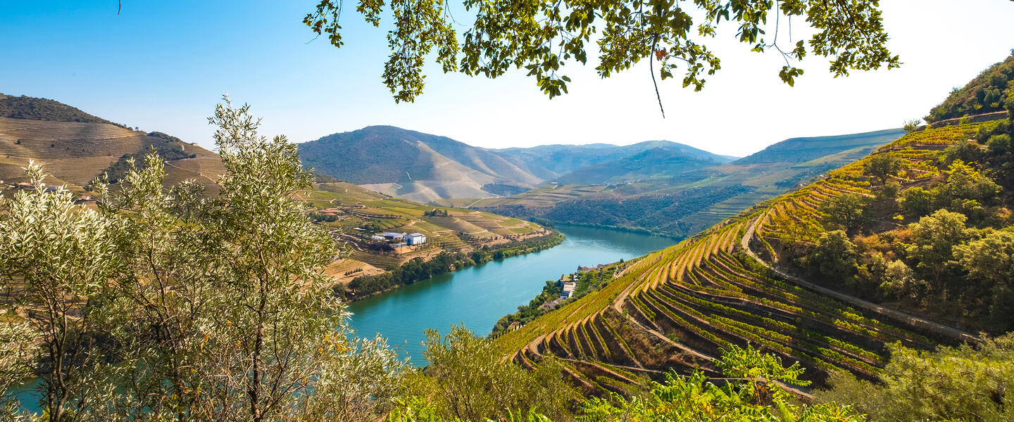 Wein- und Radreise entlang des Douro