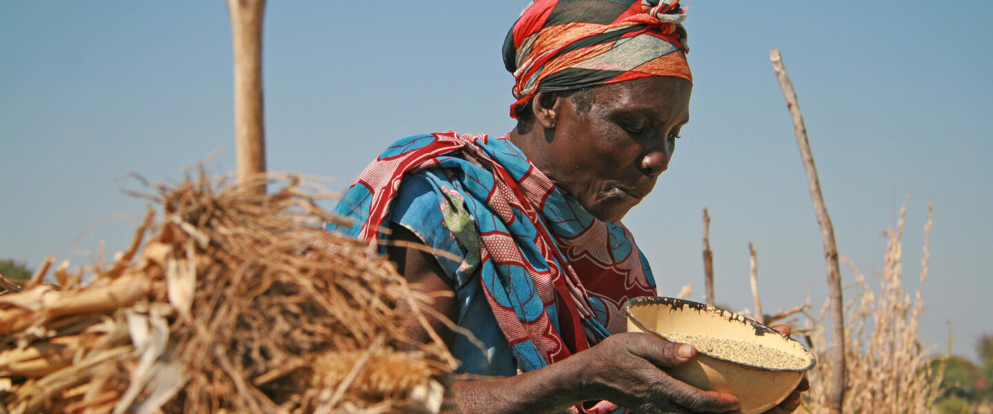 Südliches Afrika - Grenzenloses Naturparadies