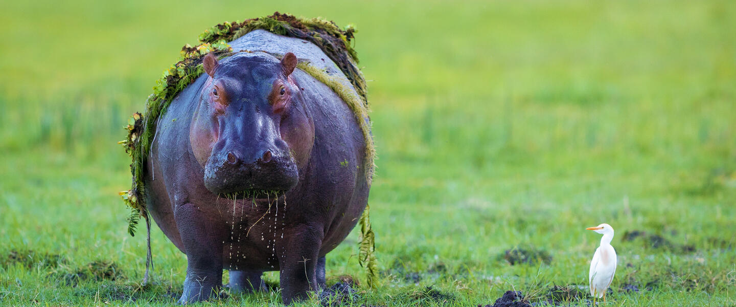 Südliches Afrika - Grenzenloses Naturparadies