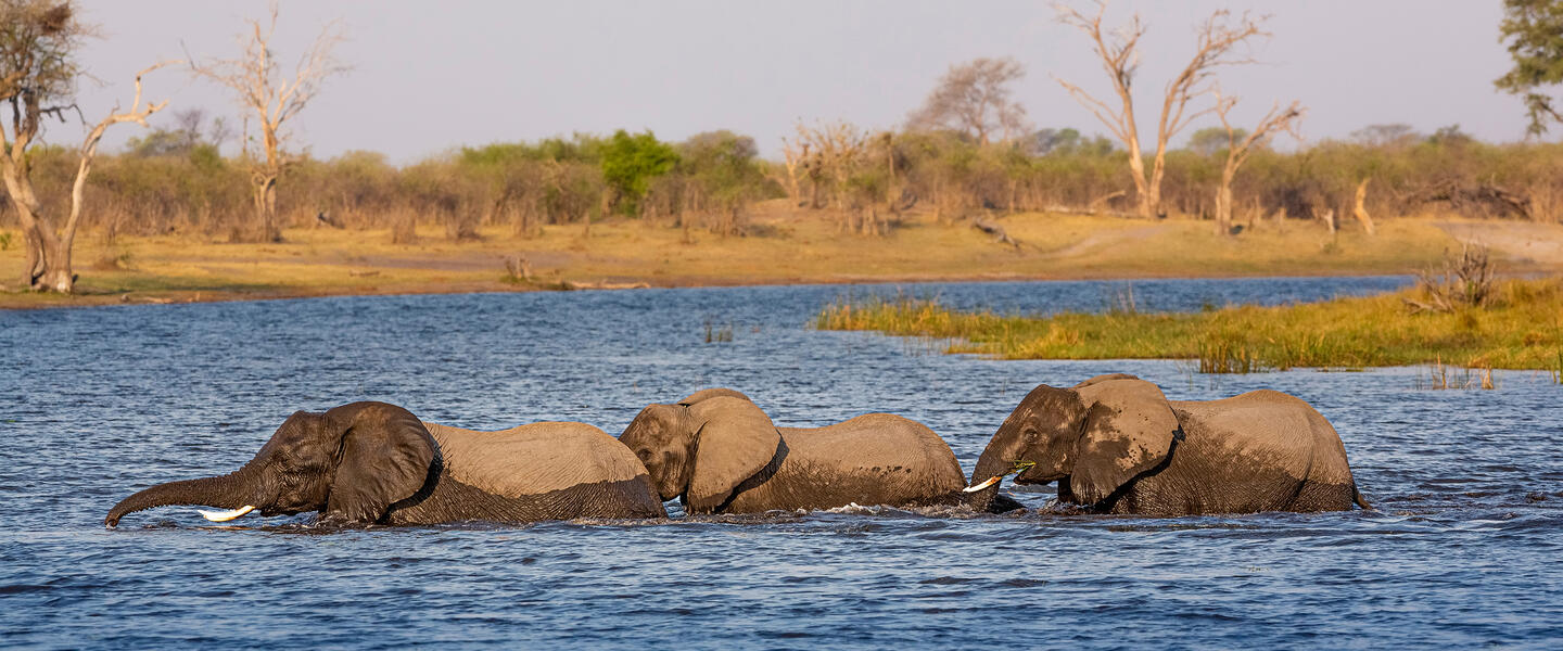 Südliches Afrika - Grenzenloses Naturparadies