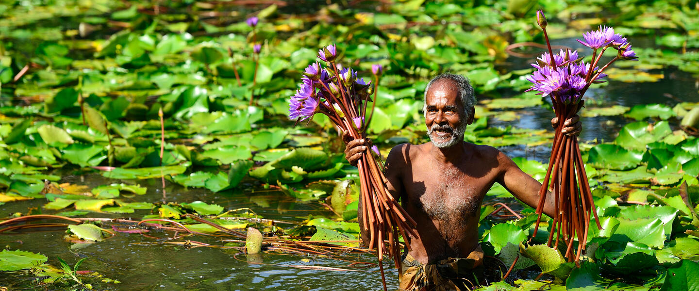 Der Zauber Sri Lankas