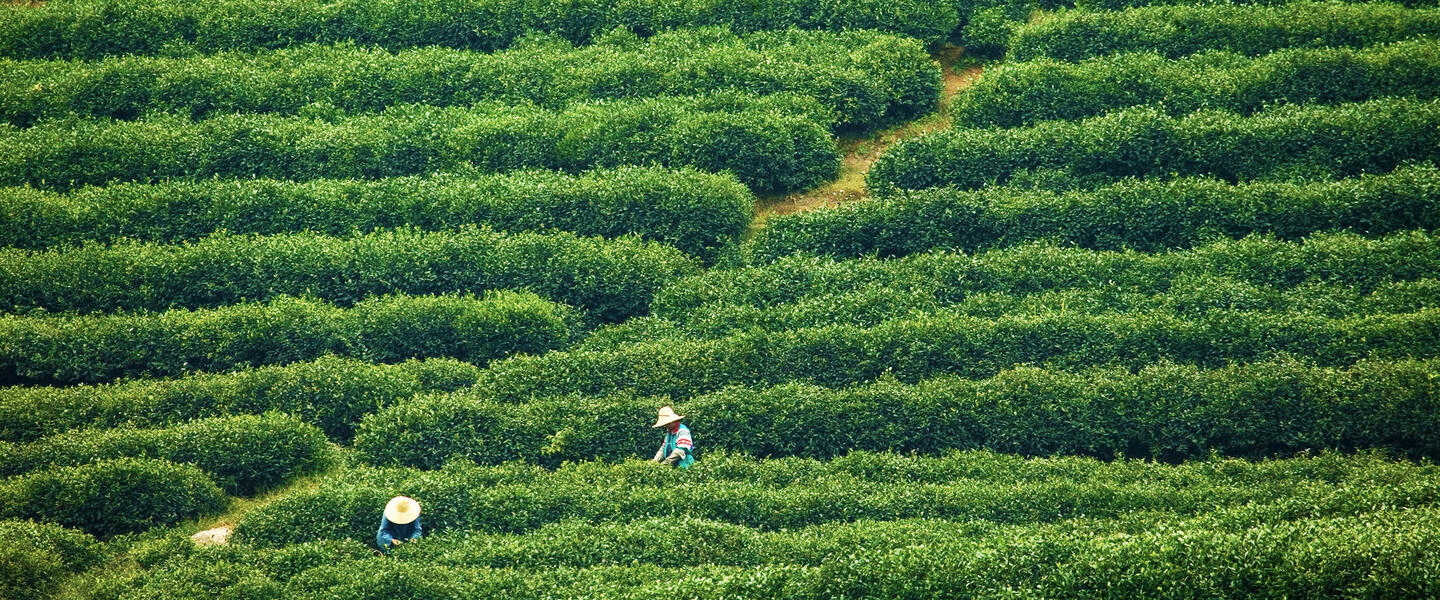 Chinas Dreiklang: Bergwelten, Seenlandschaften und Millionenlichter