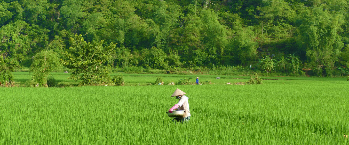 Vietnam auf einen Blick-und Meer