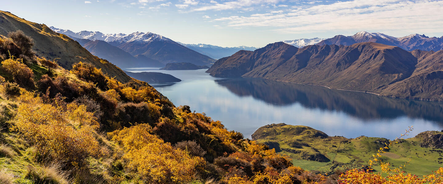 Neuseeland auf Schritt und Tritt