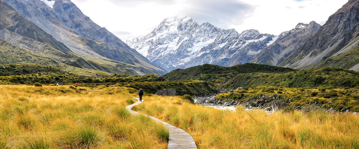 Neuseelandsafari - von Auckland nach Christchurch