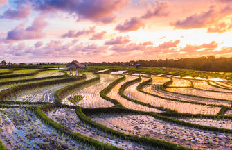 Nusa Dua Beach Hotel & Spa, Bali, Nusa Dua