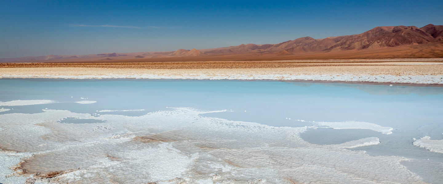 Wüstenzauber Atacama