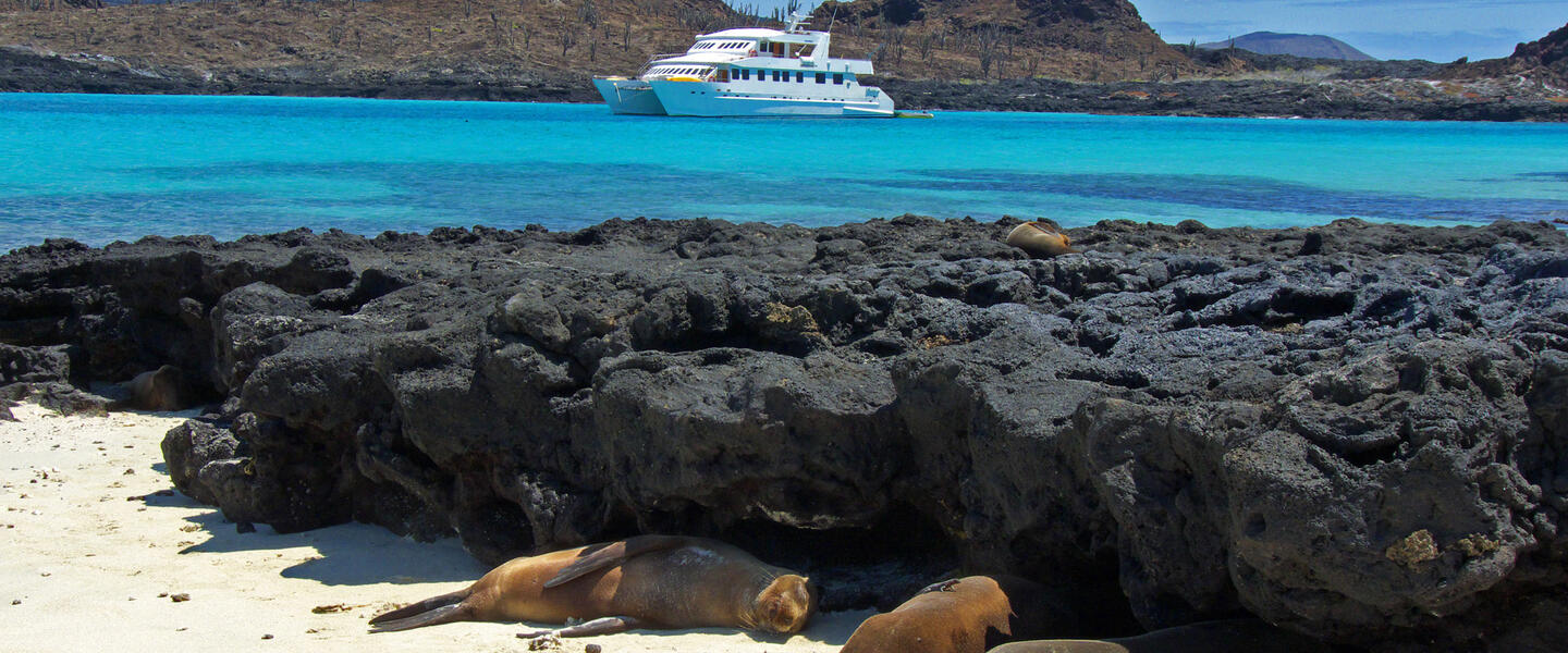 Galápagos mit dem Schiff entdecken