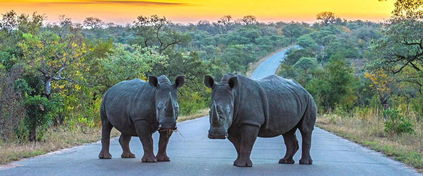 Südafrika ausführlich für Selbstfahrer